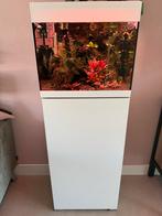 Oase Styleline 85 liter aquarium incl. extern Oase filter, Ophalen, Zo goed als nieuw, Gevuld zoetwateraquarium