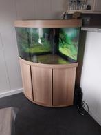 Juwel hoek aquarium, Dieren en Toebehoren, Vissen | Aquaria en Toebehoren, Ophalen of Verzenden, Zo goed als nieuw, Leeg aquarium