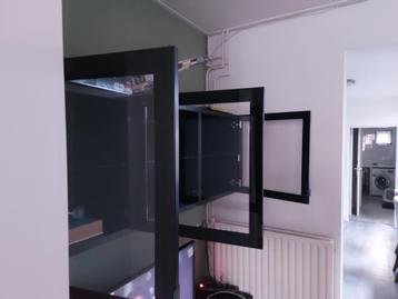 Televisiemeubel met deuren zwart Ikea BESTA