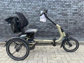 Elektrische Van Raam Easy Rider Compact Nieuw beschikbaar voor biedingen