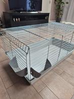 Caviakooi, Dieren en Toebehoren, Ophalen, Zo goed als nieuw, Kooi, Minder dan 60 cm