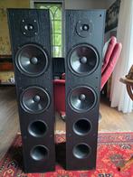 Dali AXS 8000 luidsprekers., Audio, Tv en Foto, Luidsprekers, Zo goed als nieuw, 120 watt of meer, Front, Rear of Stereo speakers