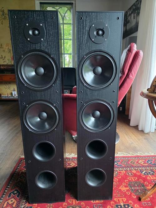 Dali AXS 8000 luidsprekers., Audio, Tv en Foto, Luidsprekers, Zo goed als nieuw, Front, Rear of Stereo speakers, 120 watt of meer