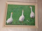 Acryl, Ganzen in de wei 3x40 cm, Antiek en Kunst, Kunst | Schilderijen | Klassiek, Ophalen
