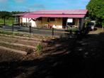Suriname perceel te koop 2.4504 hectare met woonhuis+ garage, Huizen en Kamers, Woonhuis