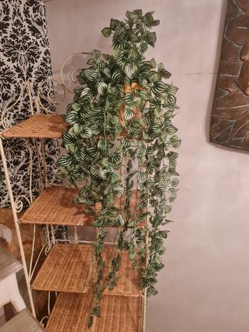 90 cm lange kunstplant in terracotta pot foto 1 t/m 4 beschikbaar voor biedingen