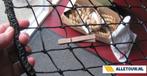 Kitten Puppy keernet zwart, Info@alletouw.nl, Nieuw, Ophalen of Verzenden, Trekwei 13