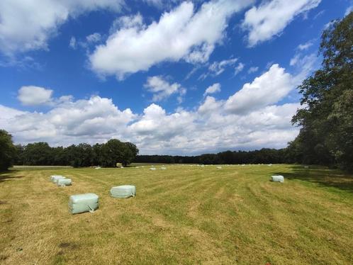XXX --  HOOIBALEN, FOLIEBALEN, GRASBALEN -- XXX, Dieren en Toebehoren, Dierenvoeding, Vee, Ophalen