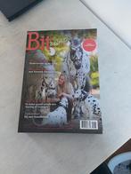 Bit tijdschrift - Laatste 4 uitgaven, Boeken, Tijdschriften en Kranten, Ophalen of Verzenden, Zo goed als nieuw, Sport en Vrije tijd