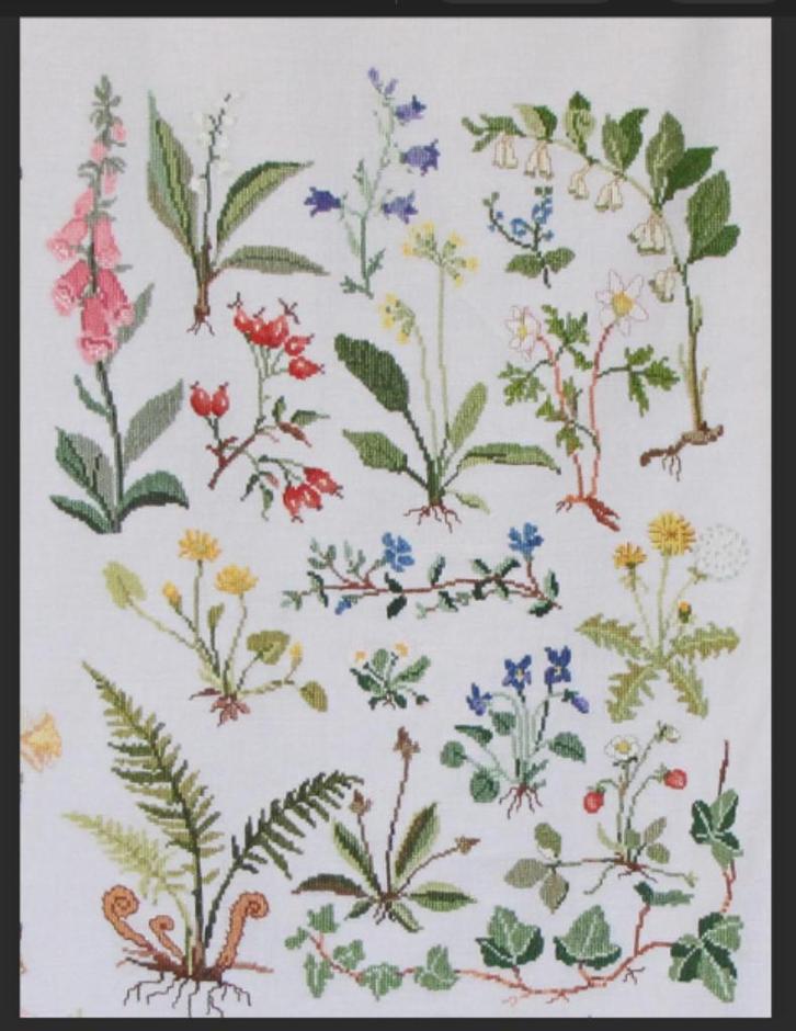 borduur en patroon wilde weide kruiden bloemen fluitenkruid, Hobby en Vrije tijd, Borduren en Borduurmachines, Zo goed als nieuw