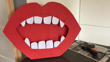Sinterklaas surprise beschikbaar voor biedingen