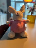 Schattig roze konijnenknuffel van Casper en Emma, Ophalen of Verzenden, Zo goed als nieuw, Konijn