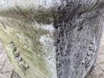 Plantenbak oud uit Italie, Ophalen, Steen, Gebruikt, Minder dan 60 cm