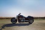 Harley-Davidson V-Rod, 7500km, 2004, Perfecte Staat, Motoren, Motoren | Harley-Davidson, Particulier, Chopper, Meer dan 35 kW