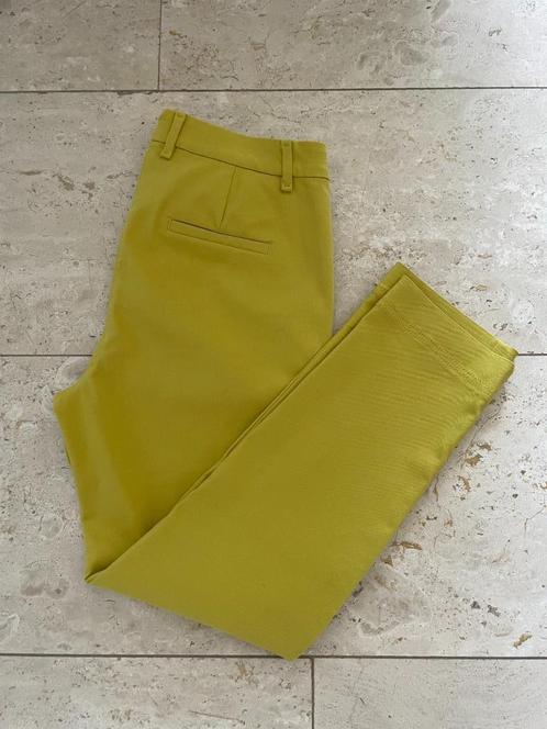 Marccain: z.g.a.n. sportieve broek maat N2 (36-38), Kleding | Dames, Broeken en Pantalons, Zo goed als nieuw, Maat 36 (S), Geel