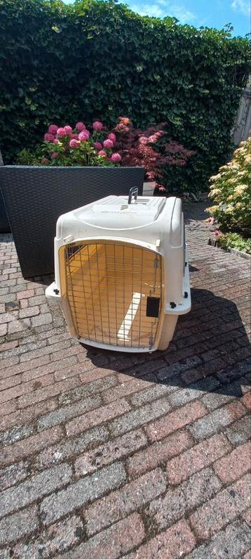 Hondenbench te koop  beschikbaar voor biedingen