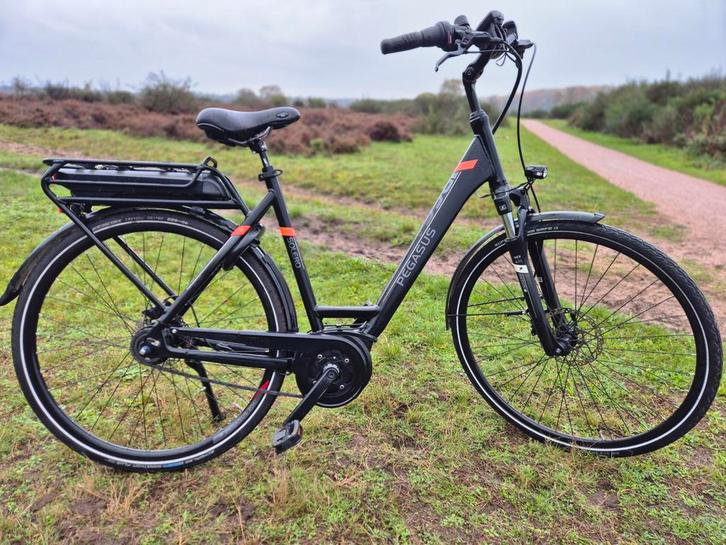 Zeer nette Pegasus E-bike Bosch Active Plus met GARANTIE!!, Fietsen en Brommers, Elektrische fietsen, Zo goed als nieuw, Overige merken