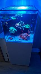 Blue Marine 125 aquarium, Ophalen, Gebruikt