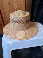 Carnavals Hoed, Ophalen of Verzenden, Zo goed als nieuw, One size fits all, Hoed