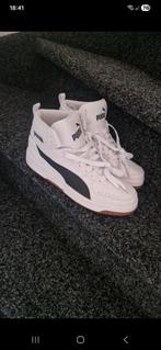 Puma's nieuw maat 42.5, Kleding | Heren, Schoenen, Puma, Wit, Nieuw, Ophalen of Verzenden