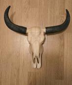 Schedels decoratief buffelschedel 2 stuks, Verzamelen, Dierenverzamelingen, Ophalen, Gebruikt, Overige soorten, Schedel
