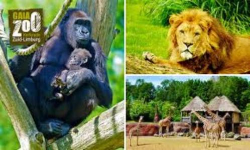 € 3,50 korting per persoon GaiaZoo in Kerkrade (max 4 pers.), Tickets en Kaartjes, Recreatie | Dierentuinen, Drie personen of meer