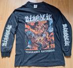 Diabolic Vengeance Ascending death metal longsleeve shirt, Maat 52/54 (L), Gedragen, Ophalen of Verzenden, Zwart