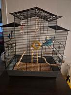 2 grasparkieten met kooi, Dieren en Toebehoren, Vogels | Hokken en Kooien, Ophalen, Zo goed als nieuw, Hout, Vogelkooi