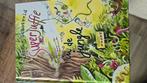Janneke Schotveld - Superjuffie in de jungle, Boeken, Ophalen of Verzenden, Zo goed als nieuw, Janneke Schotveld
