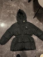 Prada Pufferjas - Nieuw - Maat M, Ophalen of Verzenden, Nieuw, Maat 38/40 (M), Zwart