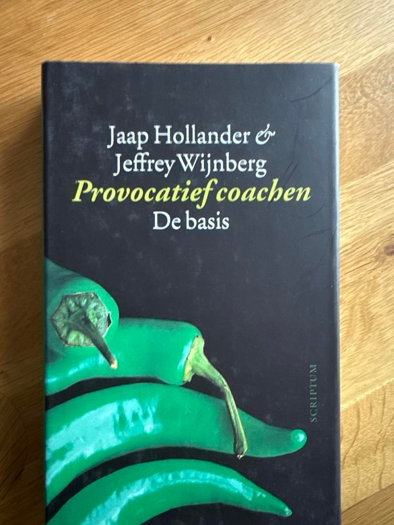 Provocatief coachen - Jaap Hollander & Jeffrey Wijnberg, Ophalen of Verzenden, Zo goed als nieuw, Diverse auteurs