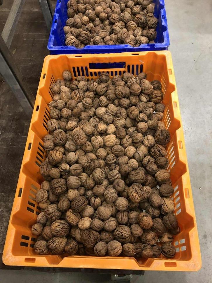 Biologische walnoten, Diversen, Levensmiddelen, Ophalen of Verzenden