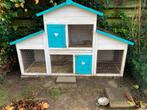 Konijn/ cavia hok, Dieren en Toebehoren, Knaagdieren en Konijnen | Hokken en Kooien, Cavia, Hok, Ophalen, Minder dan 60 cm