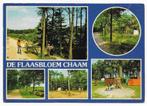 Chaam De Flaasbloem Vakantiepark Ansichtkaart (B2455 ), Ophalen of Verzenden, Gelopen