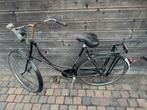 Pointer Omafiets - Klassiek en Betrouwbaar, 53 tot 56 cm, Ophalen, Gebruikt, Overige merken
