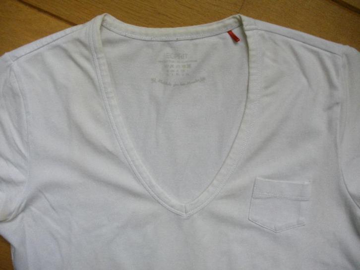 EDC by ESPRIT t- shirt wit maat M, Kleding | Dames, T-shirts, Maat 38/40 (M), Wit, Korte mouw, Ophalen of Verzenden
