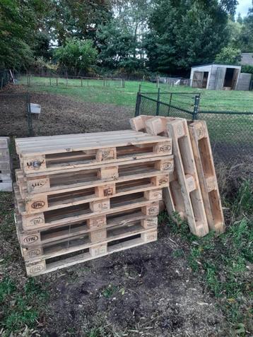 te koop europallets bieden vanaf 5 euro beschikbaar voor biedingen