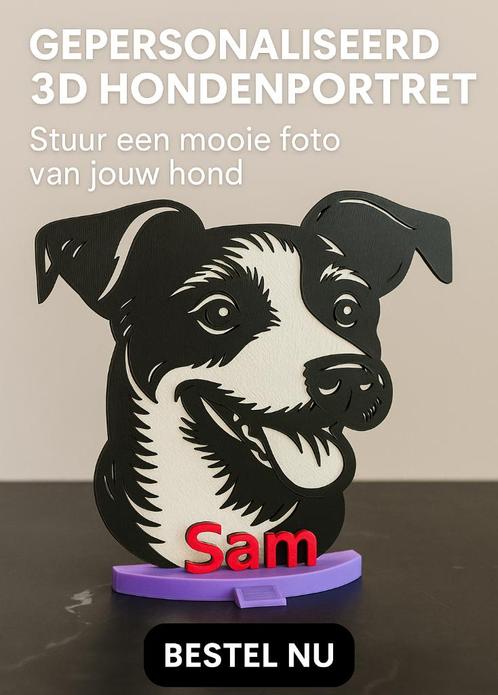 Gepersonaliseerd 3D Hondenportret – Een blijvende herinne, Dieren en Toebehoren, Honden-accessoires, Nieuw, Ophalen of Verzenden