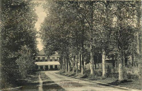 (388-274-003) Oranjewoud Cafe Tjaarda, Verzamelen, Ansichtkaarten | Nederland, Friesland, Verzenden