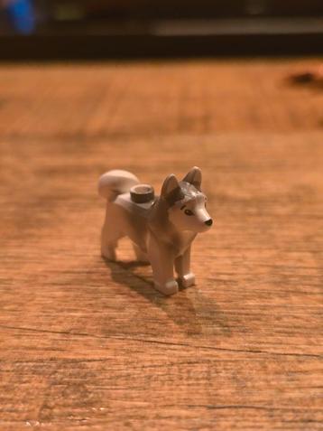 Lego Husky Hond - Zo goed als nieuw! beschikbaar voor biedingen
