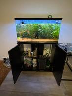 Aquarium + Kast, Dieren en Toebehoren, Vissen | Aquaria en Toebehoren, Ophalen of Verzenden, Zo goed als nieuw, Leeg aquarium