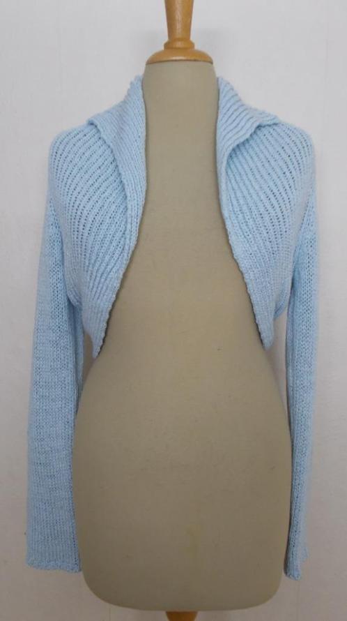 Apart lichtblauw vestje van Lillian van der Kolk (Sugar) M, Kleding | Dames, Tops, Zo goed als nieuw, Maat 38/40 (M), Blauw, Lange mouw