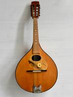 Prachtige gerestaureerde mandoline, Muziek en Instrumenten, Snaarinstrumenten | Mandolines, Ophalen, Gebruikt