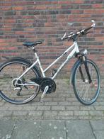 Damesfiets Pegasus, 47 tot 50 cm, Ophalen, Gebruikt, Overige merken