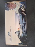 Ralf Schumacher Williams BMW FW22 Modelauto, Ophalen of Verzenden, Zo goed als nieuw, Auto, Overige merken