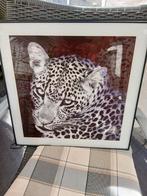 2 glas schilderijen 50x50, Huis en Inrichting, Woonaccessoires | Schilderijen, Tekeningen en Foto's, Ophalen, 50 tot 75 cm, Zo goed als nieuw