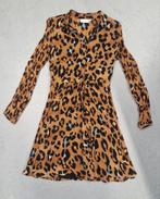 Mooie Leopard dress Fabienne Chapot maat 38 status ZGAN!, Kleding | Dames, Jurken, Fabienne Chapot, Knielengte, Maat 38/40 (M)