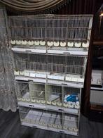 ik wil deze kooien verkopen ik heb ze niet meer nodig., Dieren en Toebehoren, Vogels | Hokken en Kooien, Ophalen, Hout, Vogelkooi