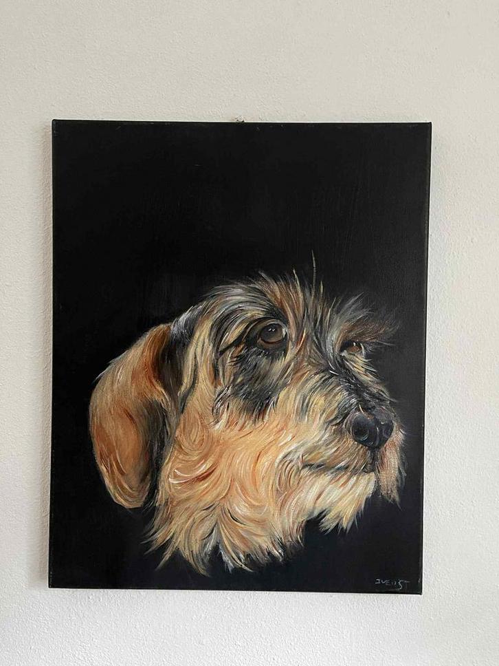 Teckel Portret - Olieverfschilderij - 40x50, Antiek en Kunst, Kunst | Schilderijen | Klassiek, Ophalen of Verzenden