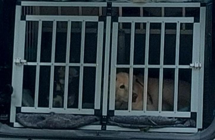 Dubbele autobench hondenbench auto groot voor 2 honden, Dieren en Toebehoren, Hondenbenches, Zo goed als nieuw, Ophalen